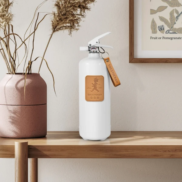 Solstickan Brandsläckare 2kg Kamintillbehör och redskap miljöbild